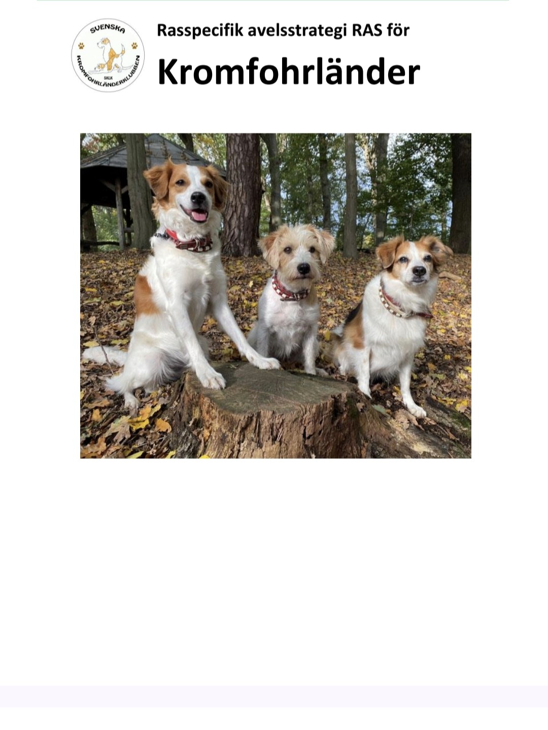 RAS -rasspecifik avelsstrategi